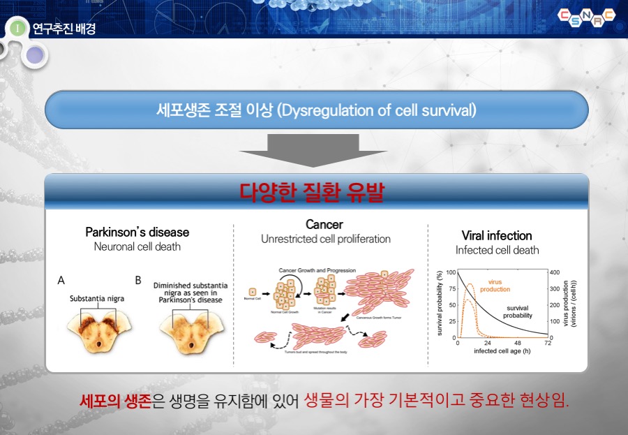 충북대학교연구발표PT 연구발표보고서 대학연구발표PPT 학술연구PPT 대학교발표자료제작은 데레이아웃입니다