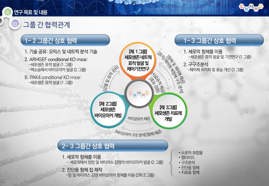 충북대학교연구발표PT 연구발표보고서 대학연구발표PPT 학술연구PPT 대학교발표자료제작은 데레이아웃입니다