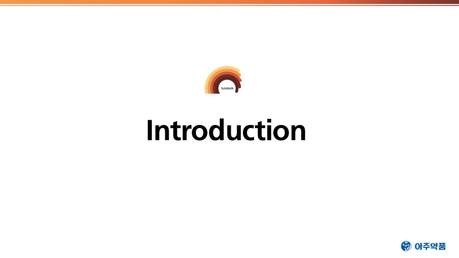 연구발표PPT 사업제안서 보고서 파워포인트작업 회PPT디자인회사 더레이아웃