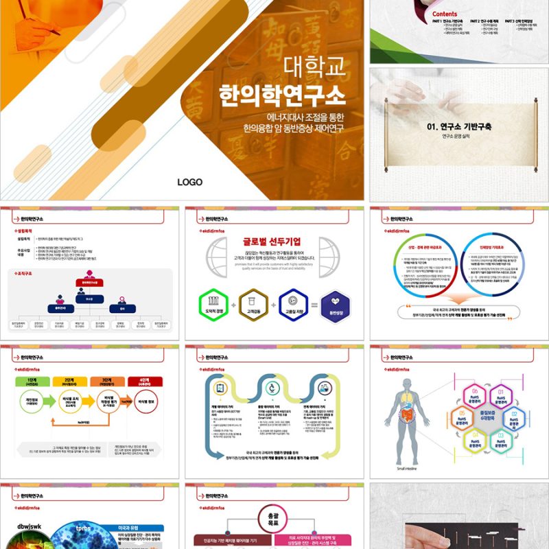 연구발표PPT템플릿 대학교연구발표템플릿은 한의학PPT템플릿 더레이아웃입니다