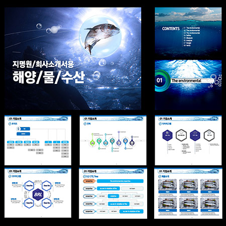 고급PPT템플릿 템플릿디자인 보고서템플릿 제안서PPT템플릿 보고서파워포인트템플릿 제작회사 더레이아웃입니다