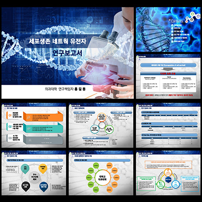 연구발표PPT템플릿 대학교연구발표템플릿은 보고서템플릿 템플릿 더레이아웃입니다
