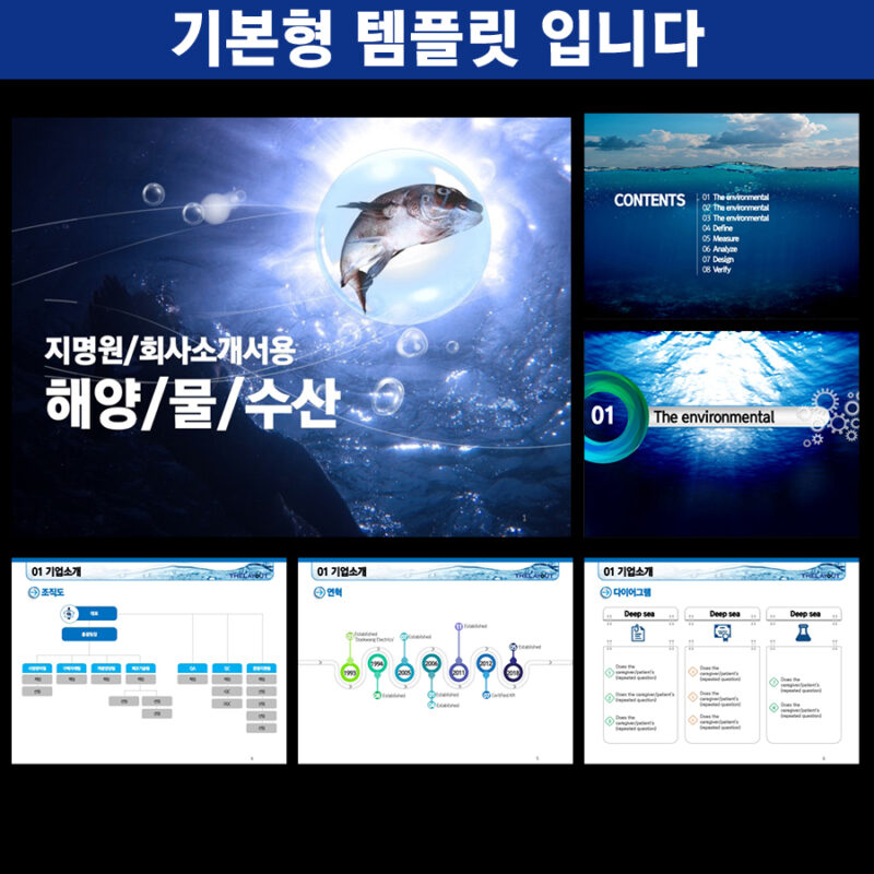 파워포인트템플릿 고급PPT템플릿 템플릿디자인 제안서템플릿디자인 템플릿 제작회사 더레이아웃입니다