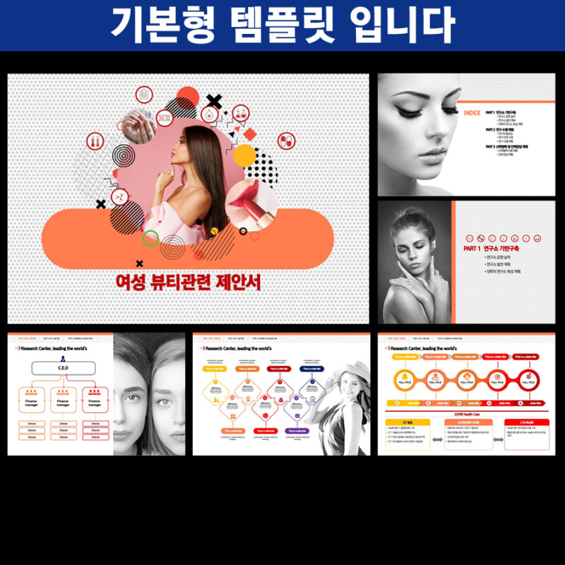파워포인트템플릿 고급PPT템플릿 템플릿디자인 제안서템플릿디자인 템플릿 제작회사 더레이아웃입니다