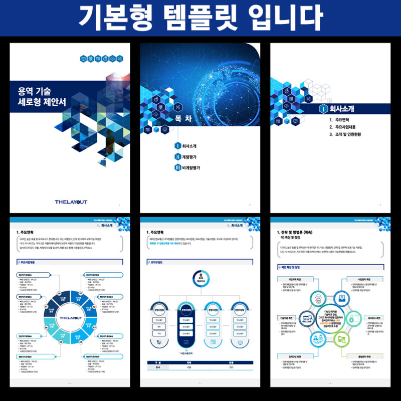 사업계획서PPT회사 파워포인트디자인 사업보고서PPT대행 PPT편집 더레이아웃
